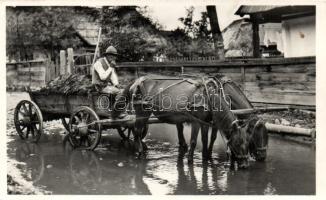 Transylvanian, Székely folklore