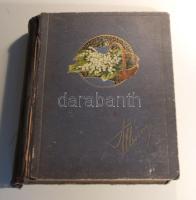 400 férőhelyes, nagy méretű, régi képeslap album, borítóján dombornyomású litho virágminta. Gerince ugyan elvált, de lapjai kifogástalanok; közepes állapot