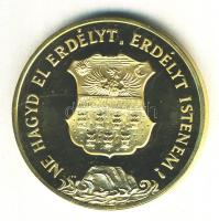 1989. "Temesvár - Erdély" aranyozott emlékérem (d=42mm) T:PP