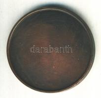1999. "100 év a Honvédelem és a Gyógyítás szolgálatában - Központi Honvéd Kórház" Br emlékérem (42.5mm) T:1-
