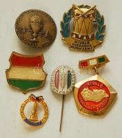 1938- 6db különféle jelvény, zománcozott darabokkal, közte "A Békéért" jelvény + "Kiváló Társadalmi Munkás" + Kiváló Kisdobos Munkáért" T:2,
