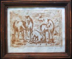 Olvashatatlan jelzéssel: Csikók 1978/1, rézkarc, papír, üvegezett keretben, 26,5x32,5cm