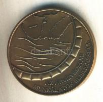 2006. "Árvízvédelemért" br emlékérem (42,5mm) tűzoltóknak árvízvédelmi munkálatok elismeré...