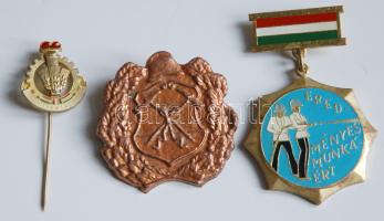 3db különféle tűzoltósággal kapcsolatos jelvény, kitüntetés T:2