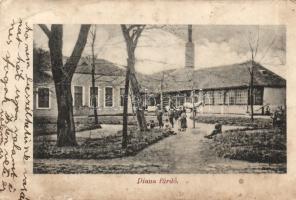 Petrozsény Diana spa (EB)