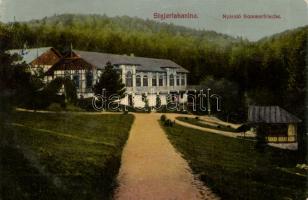 Stájerlakanina villa