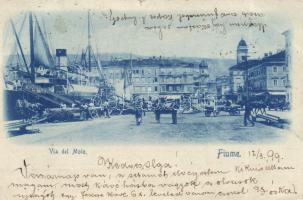 1899 Fiume port, steamship (EK)