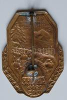 Osztrák-Magyar Monarchia 1914-1915. "Kárpátok 3. Hadsereg 1914-15" bronz sapkajelvény háto...