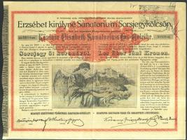 1904. "Erzsébet királyné Sanatorium Sorsjegykölcsön" sorsjegye 5K-ról Csehszlovák felülbél...
