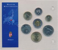 "Európa utolsó pénzei" 30db különféle vákuumcsomagolt forgalmi szett gyűrűs albumban T:1,2...