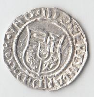 1550K-B Denár Ag "I. Ferdinánd" (0,47g) T:2
Huszár 935., Unger II 745.a)