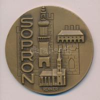 Renner Kálmán (1927-1994) 1977. "Sopron 1277-1977" bronz emlékérem (60mm) T:2 /
1977. Sopr...
