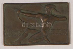 Berán Lajos (1882-1943) 1928. "Magyar Országos Céllövő Szövetség" Br plakett díjérem (64x41mm) T:2 / 1928. Hungarian National Target Shooting Association Br plaque Sign.: Lajos Berán C:XF