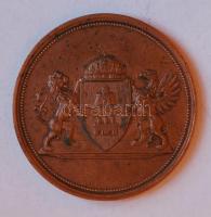 DN. "Budapest Székesfőváros Közönsége" Br emlékérem (60mm) T:2
