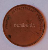 DN. "Budapest Székesfőváros Közönsége" Br emlékérem (60mm) T:2