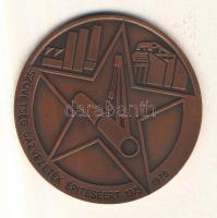 1978. "Szövetség Gázvezeték Építéséért 1975-1978" bronzolt fém emlékplakett dísztokban T:1