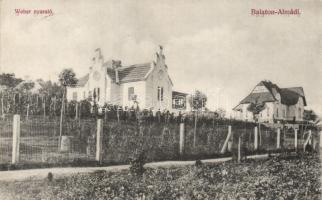 Balatonalmádi Weber-nyaraló