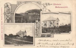 Badacsony Neptun Szálloda, Bertinyi-villa