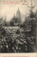 Nagykároly castle park