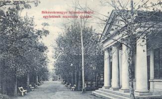 Gyula Békés vármegye közművelődési egyletének múzeuma