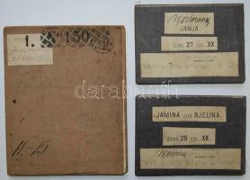 Lombard-Venecia, Janina és Bjelina, Janja, 3 db első világháborús katonai térkép vászonra kasírozva