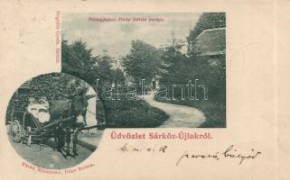 1899 Sárközújlak Péchújfalusi mansion, Péchy Magduska, Dőry Ibuska