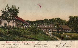 Beszterce holiday house (wet damage)