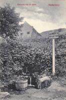 Badacsony Kisfaludy ház és forrás (wet damage)