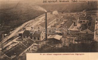 Algyógy iron works, sanatorium