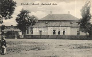 Halmi Agricultural school