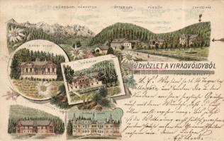 1898 Tátra Virágvölgy litho