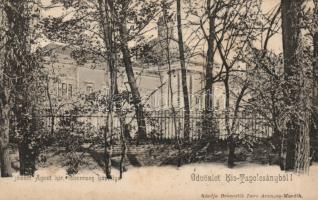 Kistapolcsány castle