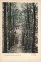 Stubnyafürdő alley