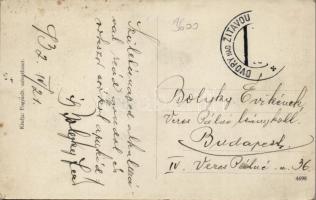 Udvard, Dvory nad Zitavou; mill