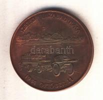 Fritz Mihály (1947-) 1984. "MÉE - Csongrád megye / Szeged felszabadulása" Br emlékérem (42...