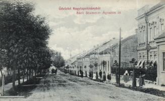 Nagytapolcsány Stummer street