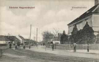 Nagysurány Wesselényi street