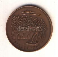 Borsos Miklós (1906-1990) 1982. "MÉE Szeged - Kodály Zoltán 1882-1967" Br emlékérem (42,5mm) T:1