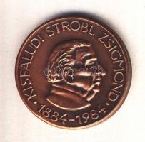 Szabolcs Péter (1942-) 1984. "MÉE Zala-megye / Kisfaludi Strobl Zsigmond" Br emlékérem (42...