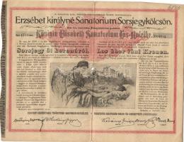 1904. "Erzsébet királyné Sanatorium Sorsjegykölcsön" sorsjegye 5K-ról (5x) T:3