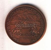 Kutas László (1936-) / Lebó Ferenc (1960-) 1992. "MÉE XXII. Vándorgyűlése Esztergom" Br em...