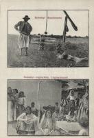 Bolmány folklore, gypsy camp, swineherd