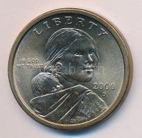 Amerikai Egyesült Államok 2000D 1$ "Sacagawea" T:2
USA 2000D One Dollar "Sacagawea&qu...