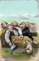 Pigs, humour (small tear)