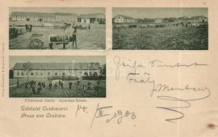 Csák, Csákova agricultural school