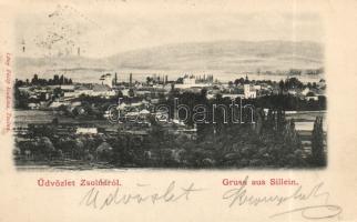 Zsolna with synagogue (?)