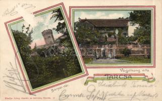 Tarcsa Bányai-vár, Villa Vogelsang