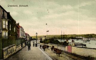 Greenbank Falmouth