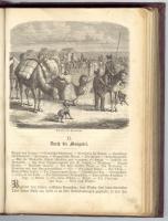 Richard Andree: Das Amur-Gebiet und seine Bedeutung. Reisen in Theilen der Mongolei, den angrenzende...