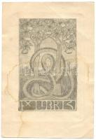 cca 1900 jelzés nélkül: Ex libris, rézkarc, papír, 12,5x8,5cm (foltos)